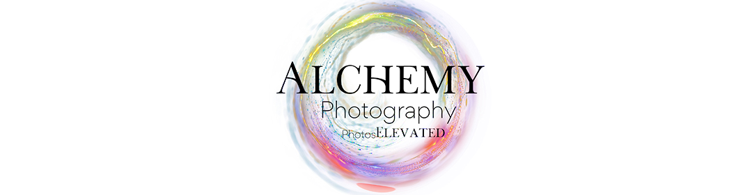 logo - Alchemy Photography