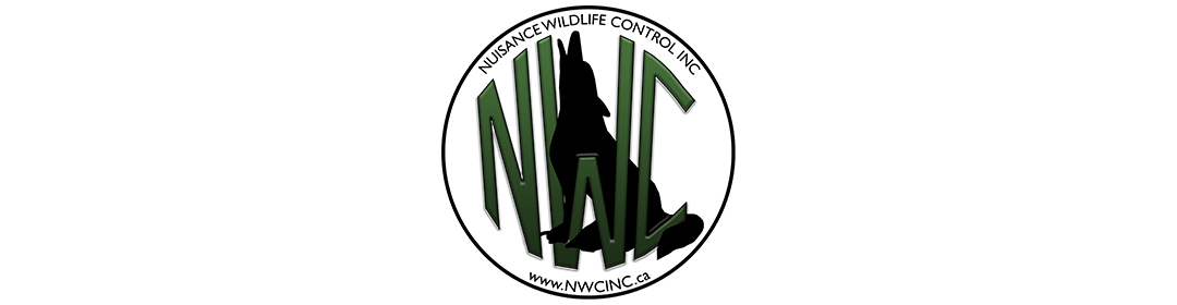 logo - Nuisance Wildlife Control INC